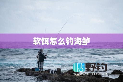 软饵怎么钓海鲈