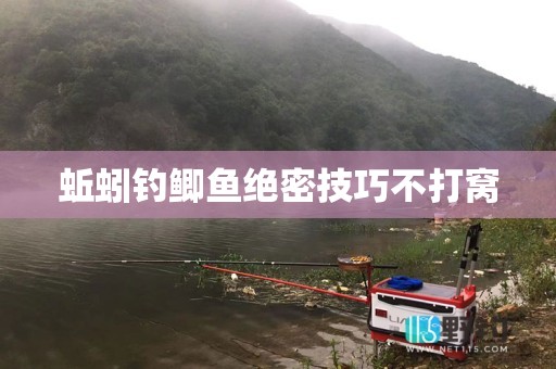 蚯蚓钓鲫鱼绝密技巧不打窝