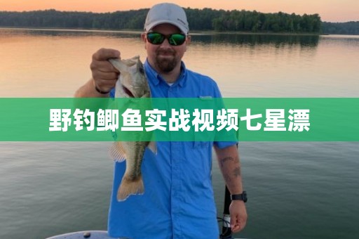 野钓鲫鱼实战视频七星漂