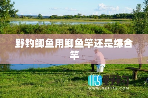 野钓鲫鱼用鲫鱼竿还是综合竿