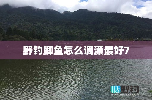 野钓鲫鱼怎么调漂最好7