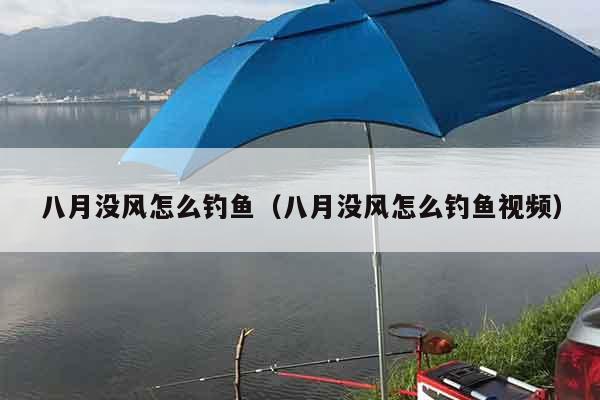 八月没风怎么钓鱼（八月没风怎么钓鱼视频）