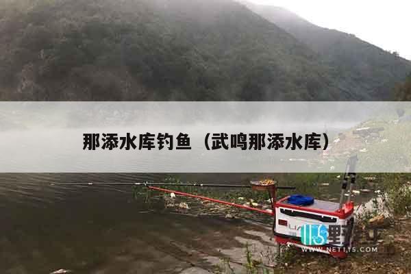 那添水库钓鱼（武鸣那添水库）