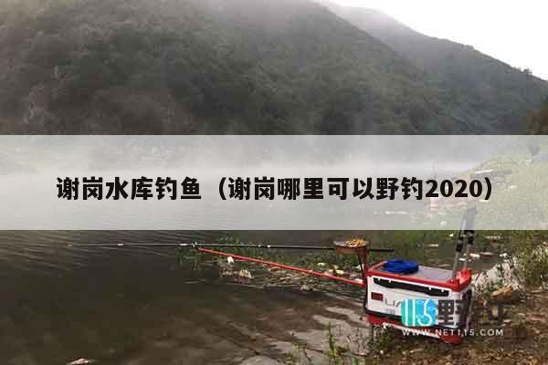 谢岗水库钓鱼（谢岗哪里可以野钓2020）