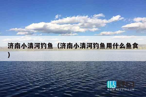 济南小清河钓鱼（济南小清河钓鱼用什么鱼食）