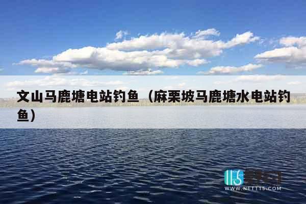 文山马鹿塘电站钓鱼（麻栗坡马鹿塘水电站钓鱼）