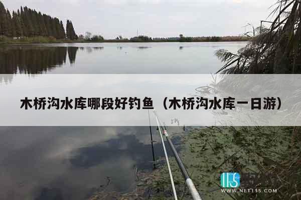 木桥沟水库哪段好钓鱼（木桥沟水库一日游）