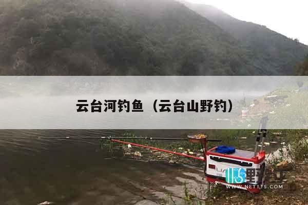 云台河钓鱼（云台山野钓）