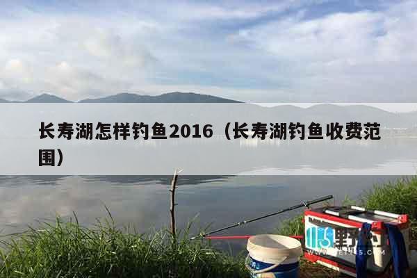 长寿湖怎样钓鱼2016（长寿湖钓鱼收费范围）
