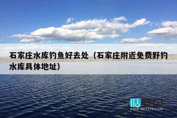 石家庄水库钓鱼好去处（石家庄附近免费野钓水库具体地址）