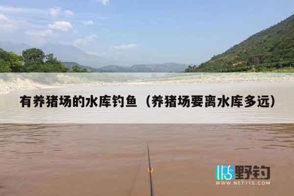 有养猪场的水库钓鱼（养猪场要离水库多远）