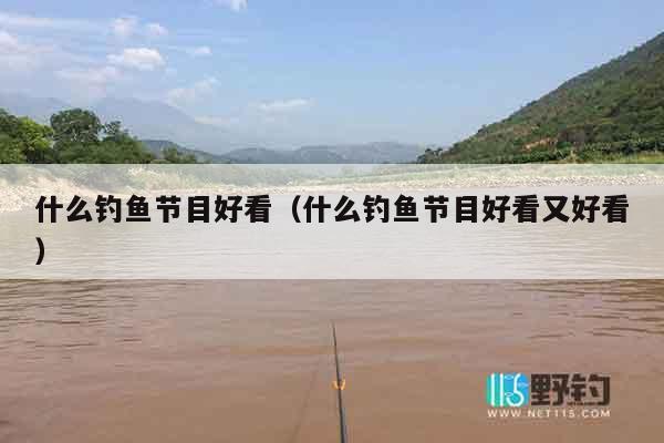 什么钓鱼节目好看（什么钓鱼节目好看又好看）