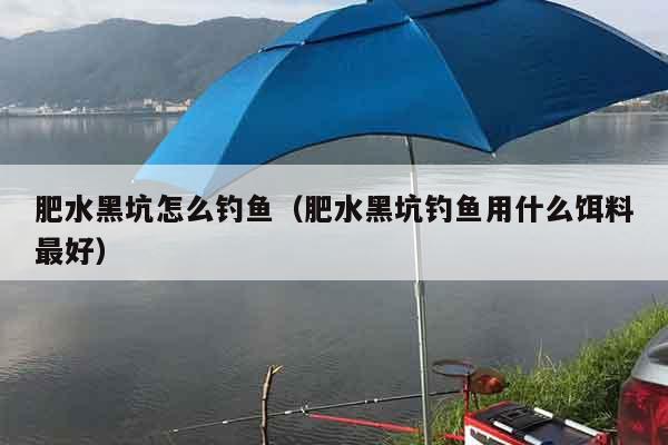 肥水黑坑怎么钓鱼（肥水黑坑钓鱼用什么饵料最好）