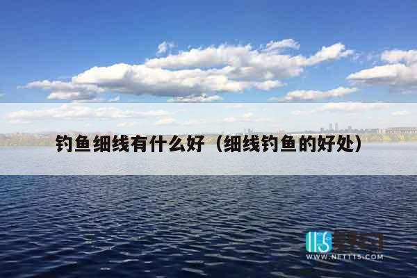 钓鱼细线有什么好（细线钓鱼的好处）