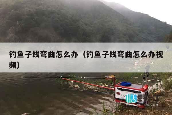 钓鱼子线弯曲怎么办（钓鱼子线弯曲怎么办视频）