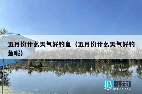 五月份什么天气好钓鱼（五月份什么天气好钓鱼呢）
