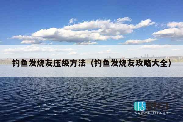 钓鱼发烧友压级方法（钓鱼发烧友攻略大全）