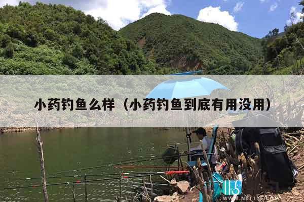 小药钓鱼么样（小药钓鱼到底有用没用）