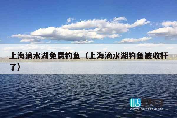 上海滴水湖免费钓鱼（上海滴水湖钓鱼被收杆了）