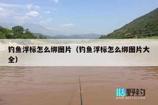 钓鱼浮标怎么绑图片（钓鱼浮标怎么绑图片大全）