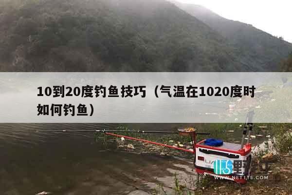 10到20度钓鱼技巧（气温在1020度时如何钓鱼）