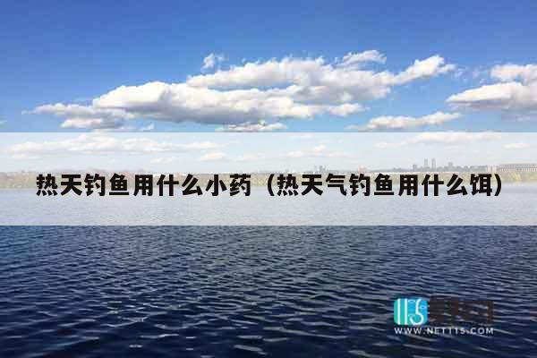 热天钓鱼用什么小药（热天气钓鱼用什么饵）