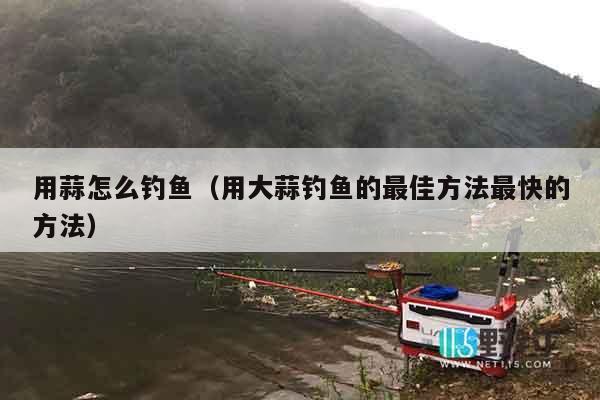 用蒜怎么钓鱼（用大蒜钓鱼的最佳方法最快的方法）