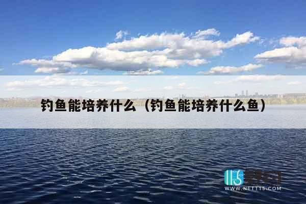 钓鱼能培养什么（钓鱼能培养什么鱼）