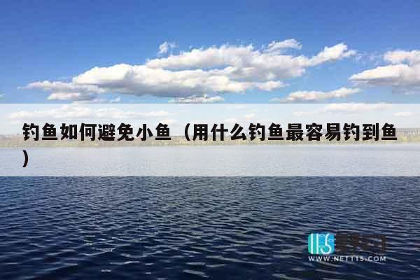 钓鱼如何避免小鱼（用什么钓鱼最容易钓到鱼）