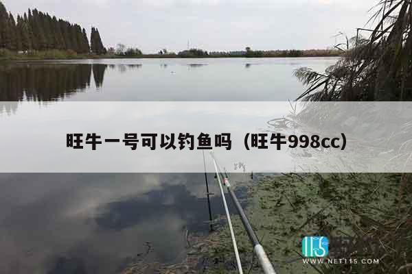 旺牛一号可以钓鱼吗（旺牛998cc）