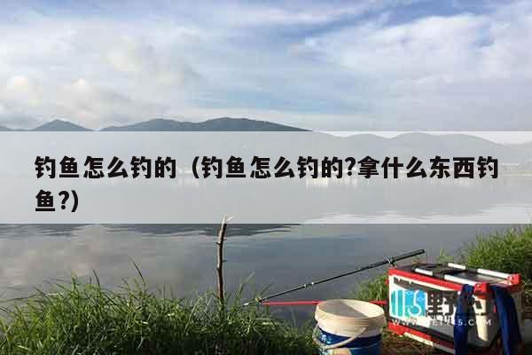 钓鱼怎么钓的（钓鱼怎么钓的?拿什么东西钓鱼?）