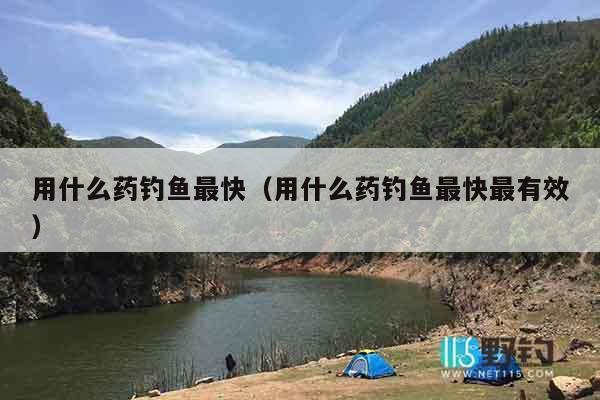用什么药钓鱼最快（用什么药钓鱼最快最有效）