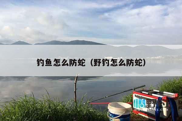 钓鱼怎么防蛇（野钓怎么防蛇）