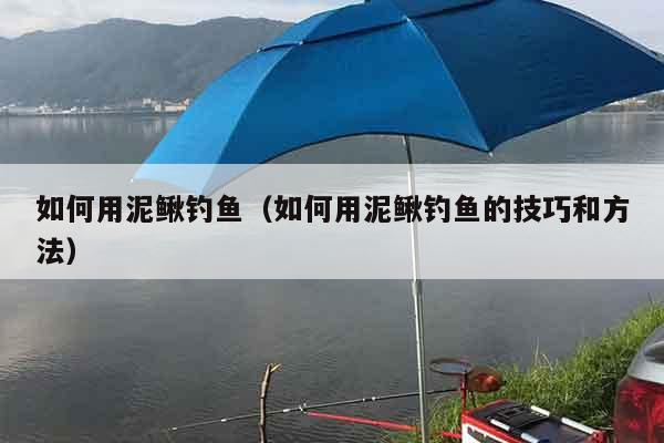 如何用泥鳅钓鱼（如何用泥鳅钓鱼的技巧和方法）