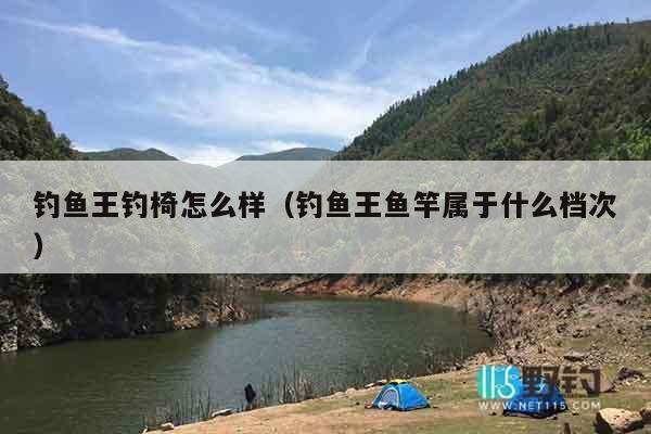 钓鱼王钓椅怎么样（钓鱼王鱼竿属于什么档次）