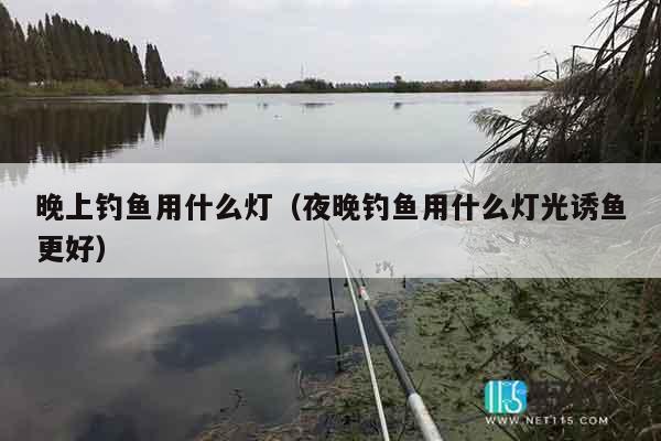 晚上钓鱼用什么灯（夜晚钓鱼用什么灯光诱鱼更好）