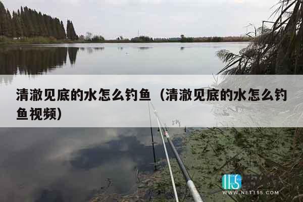 清澈见底的水怎么钓鱼（清澈见底的水怎么钓鱼视频）