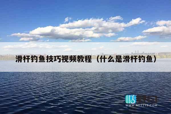 滑杆钓鱼技巧视频教程（什么是滑杆钓鱼）