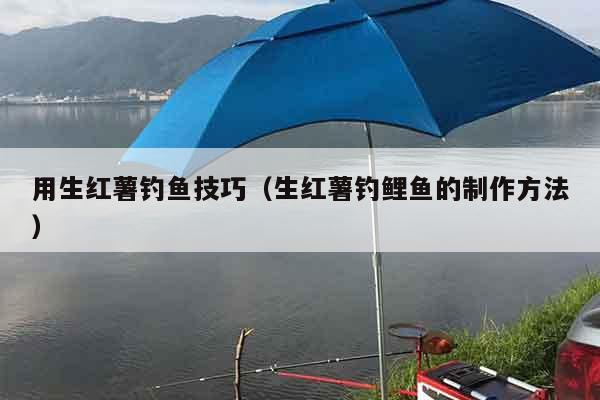 用生红薯钓鱼技巧（生红薯钓鲤鱼的制作方法）