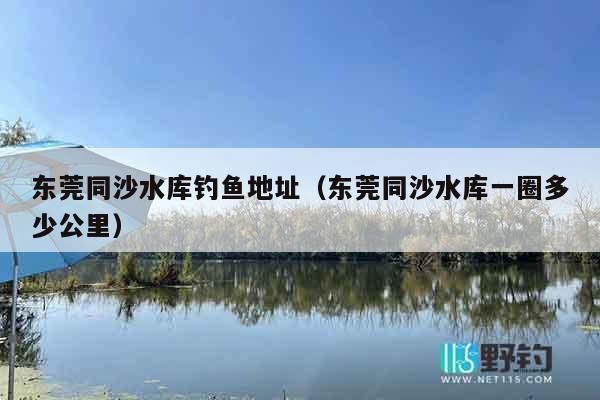 东莞同沙水库钓鱼地址（东莞同沙水库一圈多少公里）