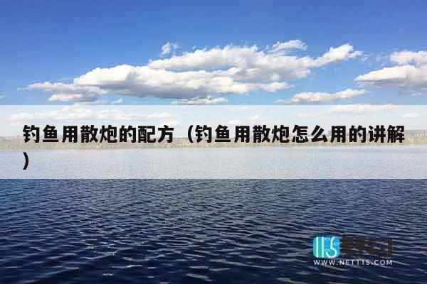 钓鱼用散炮的配方（钓鱼用散炮怎么用的讲解）