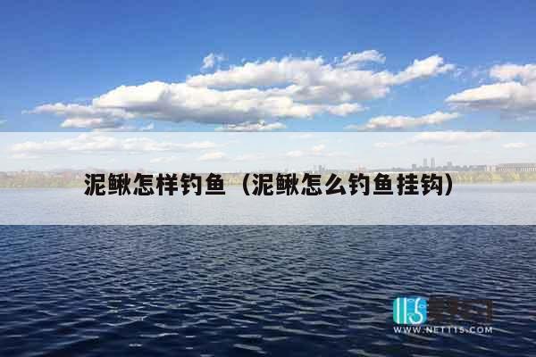 泥鳅怎样钓鱼（泥鳅怎么钓鱼挂钩）