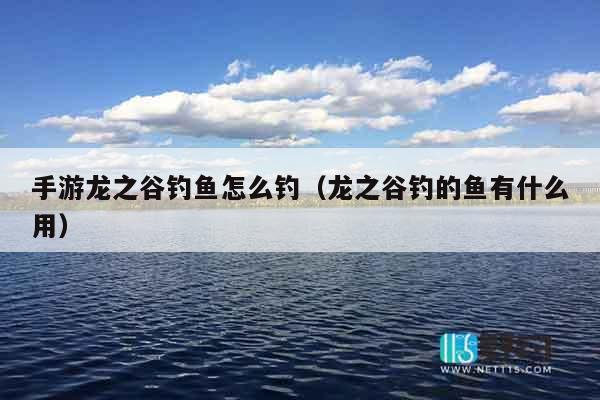 手游龙之谷钓鱼怎么钓（龙之谷钓的鱼有什么用）