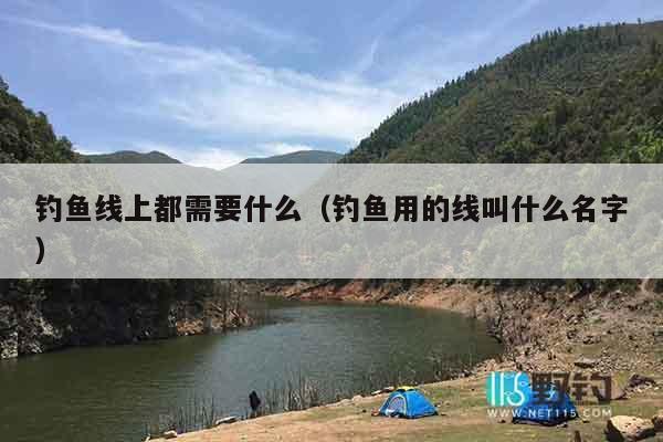 钓鱼线上都需要什么（钓鱼用的线叫什么名字）