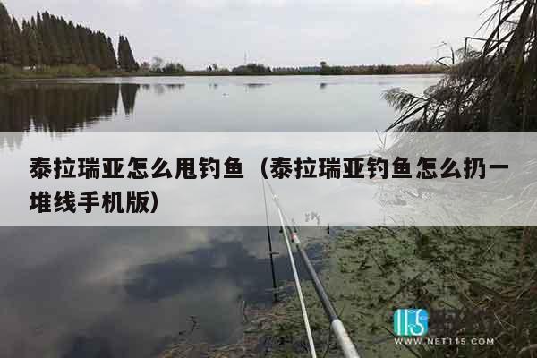 泰拉瑞亚怎么甩钓鱼（泰拉瑞亚钓鱼怎么扔一堆线手机版）