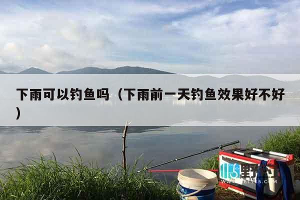 下雨可以钓鱼吗（下雨前一天钓鱼效果好不好）