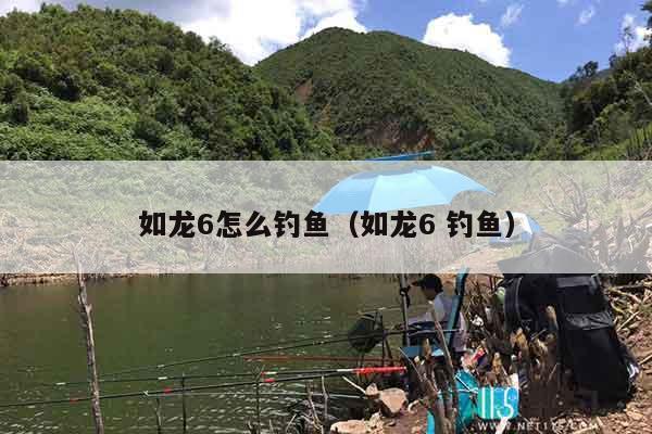 如龙6怎么钓鱼（如龙6 钓鱼）