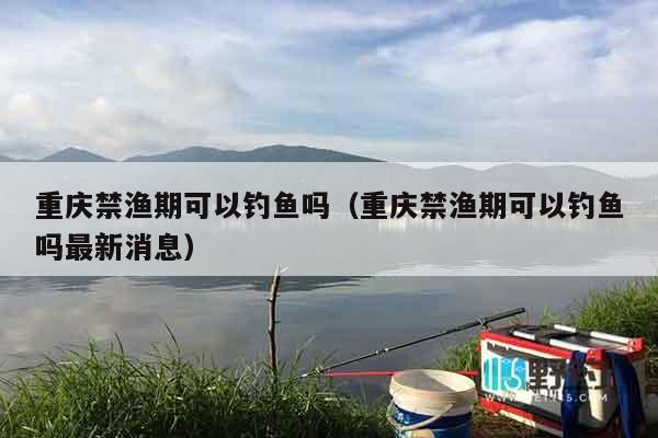 重庆禁渔期可以钓鱼吗（重庆禁渔期可以钓鱼吗最新消息）