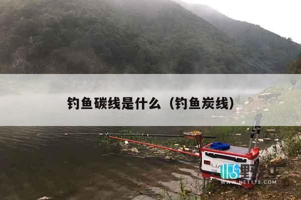 钓鱼碳线是什么（钓鱼炭线）