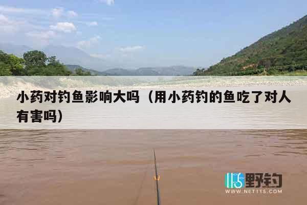 小药对钓鱼影响大吗（用小药钓的鱼吃了对人有害吗）